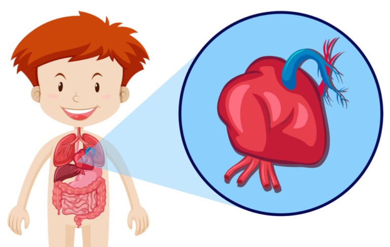 先天性心臟病童：4大常見先天性心臟病原因症狀、8成能順利長大