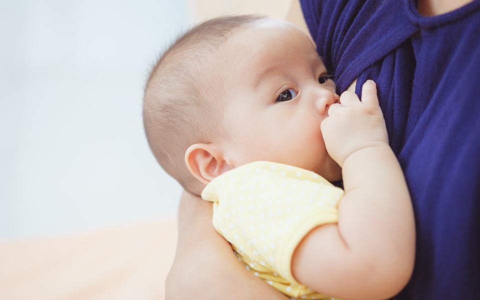 母親哺乳飲食很重要！6招降低母乳中的有毒物質