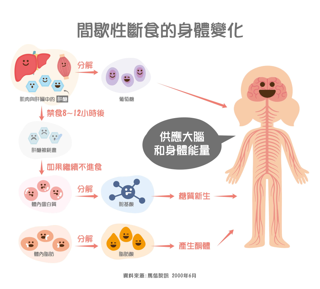 間歇性斷食運動何時做？如何做？安全斷食必看這5點