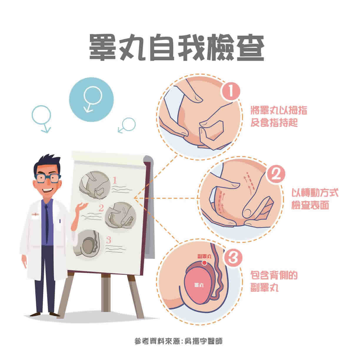 這個月，你「自摸」了嗎？談睪丸癌自我檢測