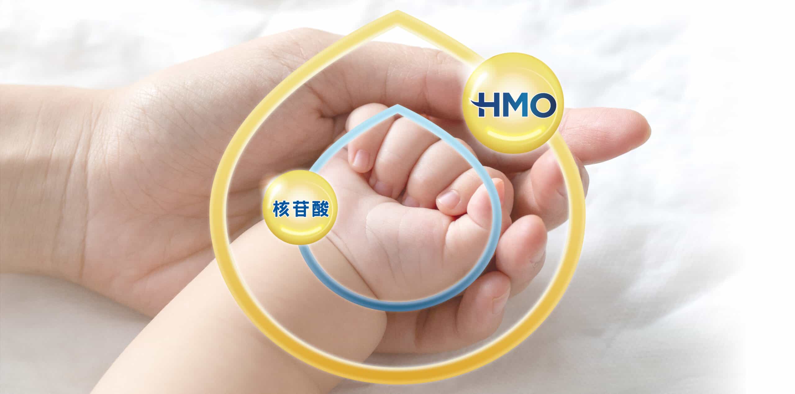 HMO奶粉寶寶不怕脹氣拉肚子！研究證實：HMO母乳寡醣能打造腸道免疫力