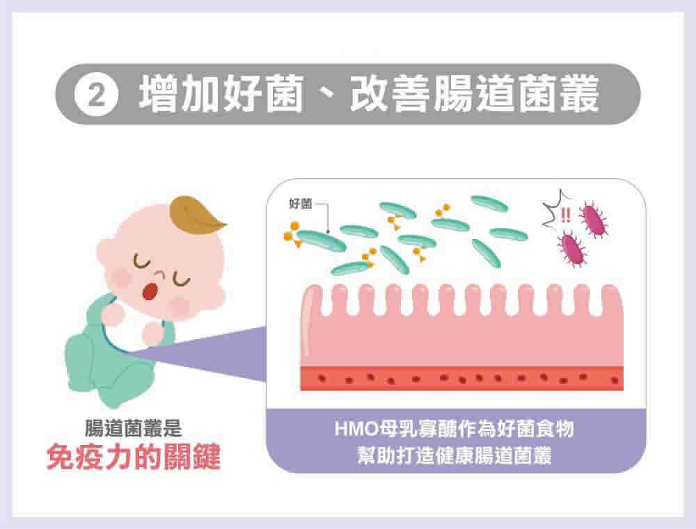 揭開母乳寶寶免疫力好的秘密！HMO 母乳寡醣的功效與作用