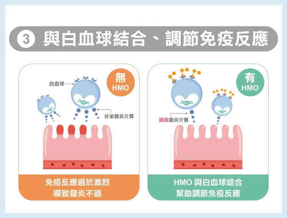 揭開母乳寶寶免疫力好的秘密！HMO 母乳寡醣的功效與作用