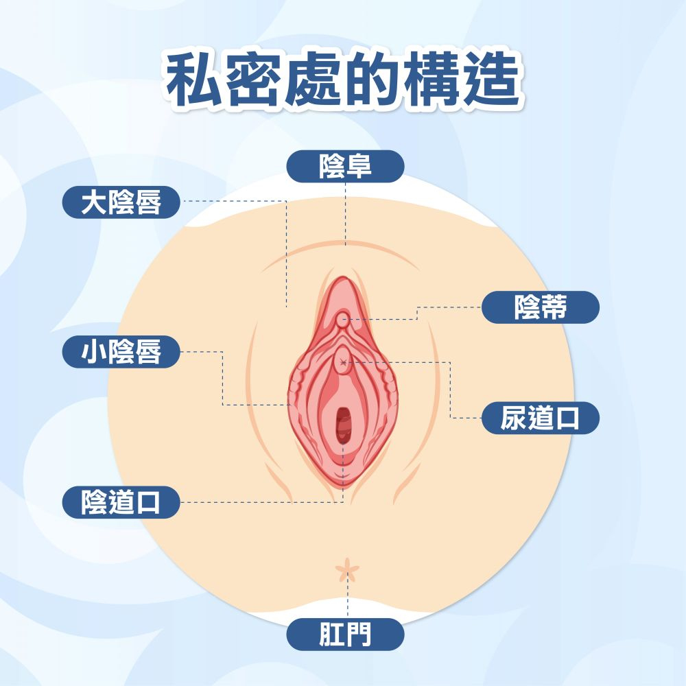 女生私密處構造、清潔重點公開！私密處保養5原則一次看