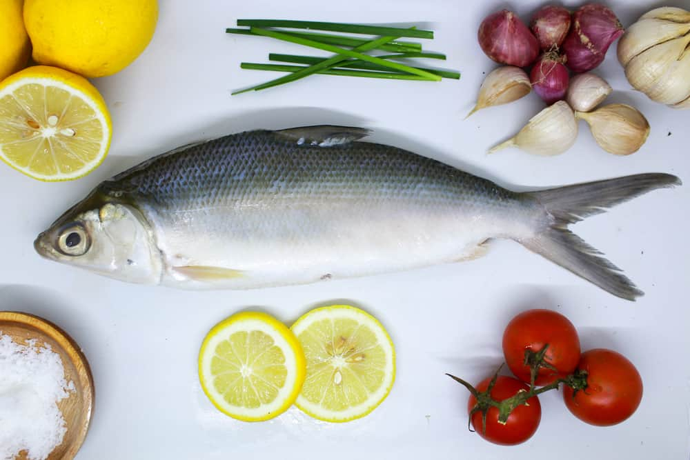 虱目魚營養高！怎麼煮才好吃？3道虱目魚家常料理食譜大公開