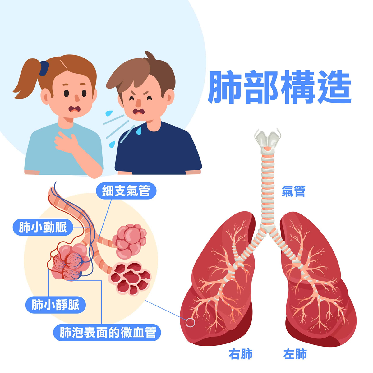 年輕高瘦男生最常有！肺泡無故破裂引起自發性氣胸，劇烈胸痛、胸悶快就醫！