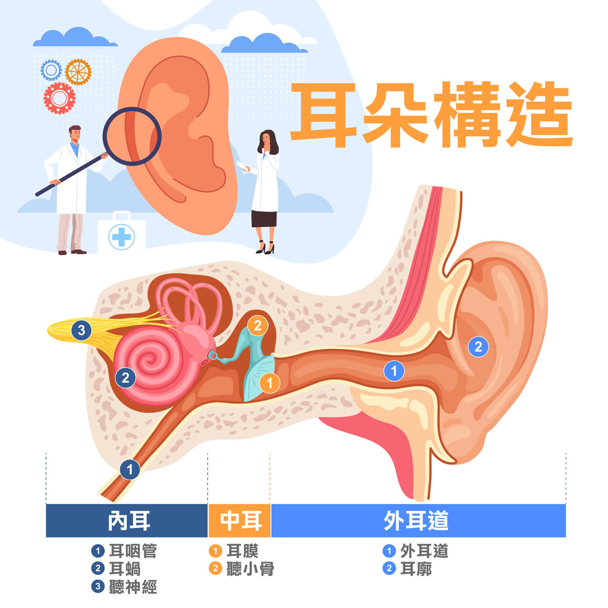 感冒耳鳴怎麼辦？3撇步改善耳朵嗡嗡叫！耳鳴超過2天快就醫，以防聽力受損