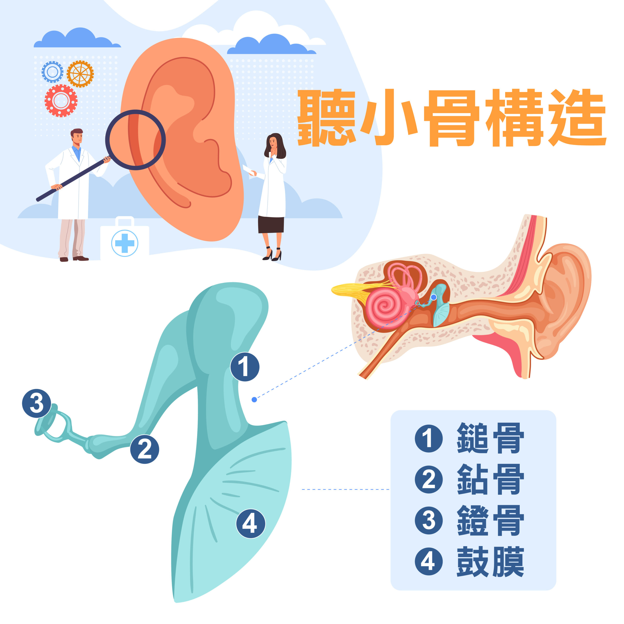 懷孕後聽力變差？一次搞懂耳硬化症的原因、症狀及治療