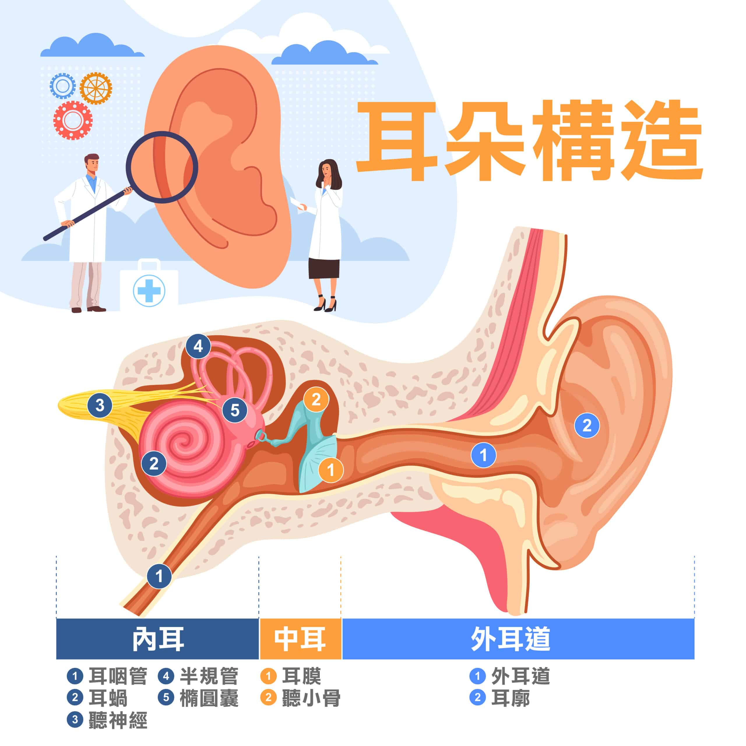 前庭神經炎多久會好？暈眩原因、治療及飲食重點一次看