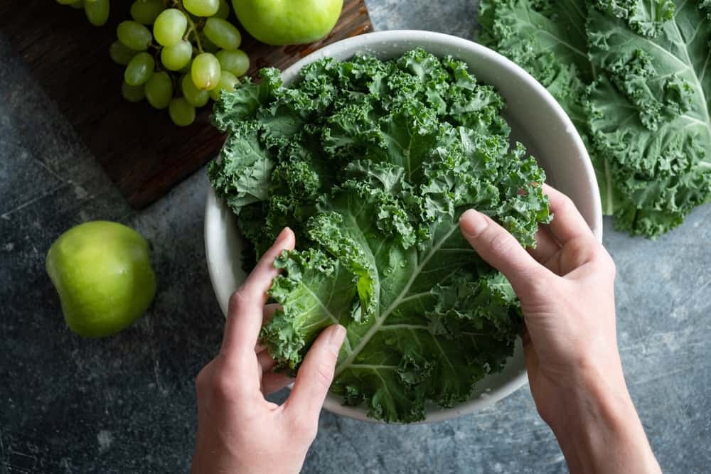 葉黃素食物排行》對眼睛好的蔬果「冠軍菠菜」這樣吃葉黃素最多