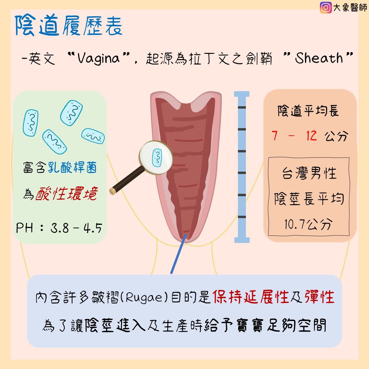 女生高潮必看！潮吹液體是尿嗎？陰道高潮、陰蒂高潮大解析！