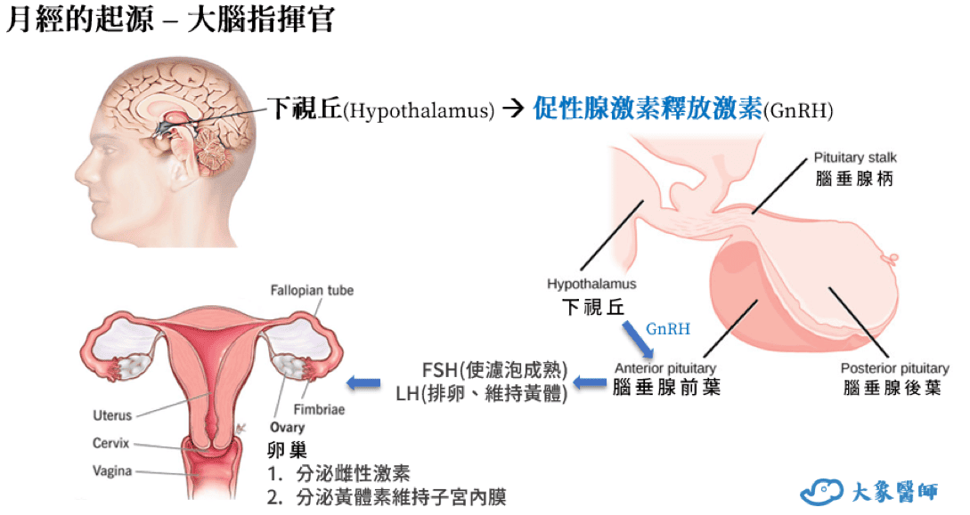 月經不正常必看！何時需要就醫？5大「自我檢測」問題一次看