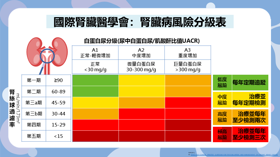 慢性腎病治療關鍵　腎臟學會：新用藥、調整生活型態